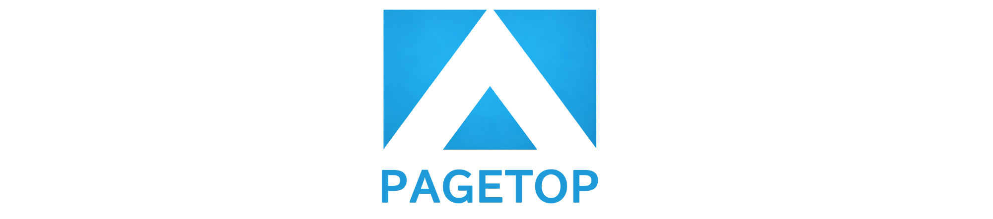 PAGE TOP